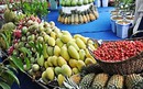 Lễ hội trái cây Nam bộ tại Suối Tiên kỷ niệm 10 năm với nhiều hoạt động đặc sắc
